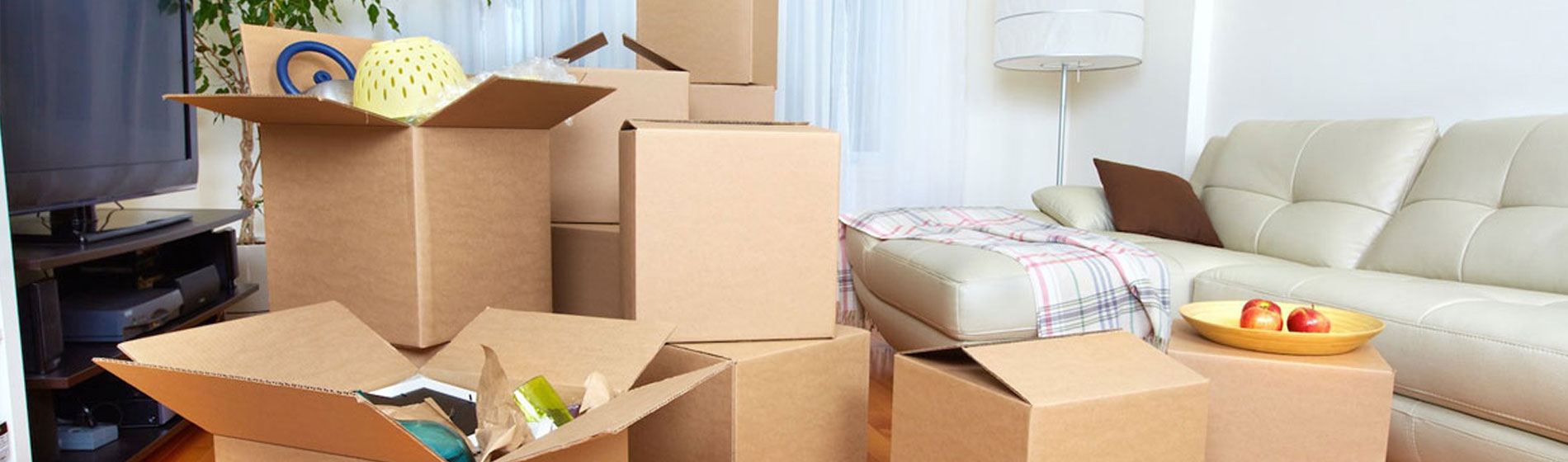 movers and packers in dadar